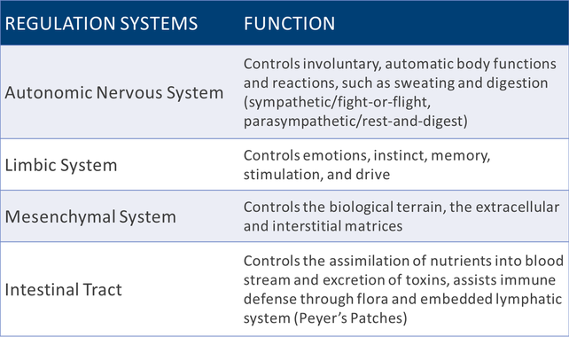 Chart of Regulation Systems and their function